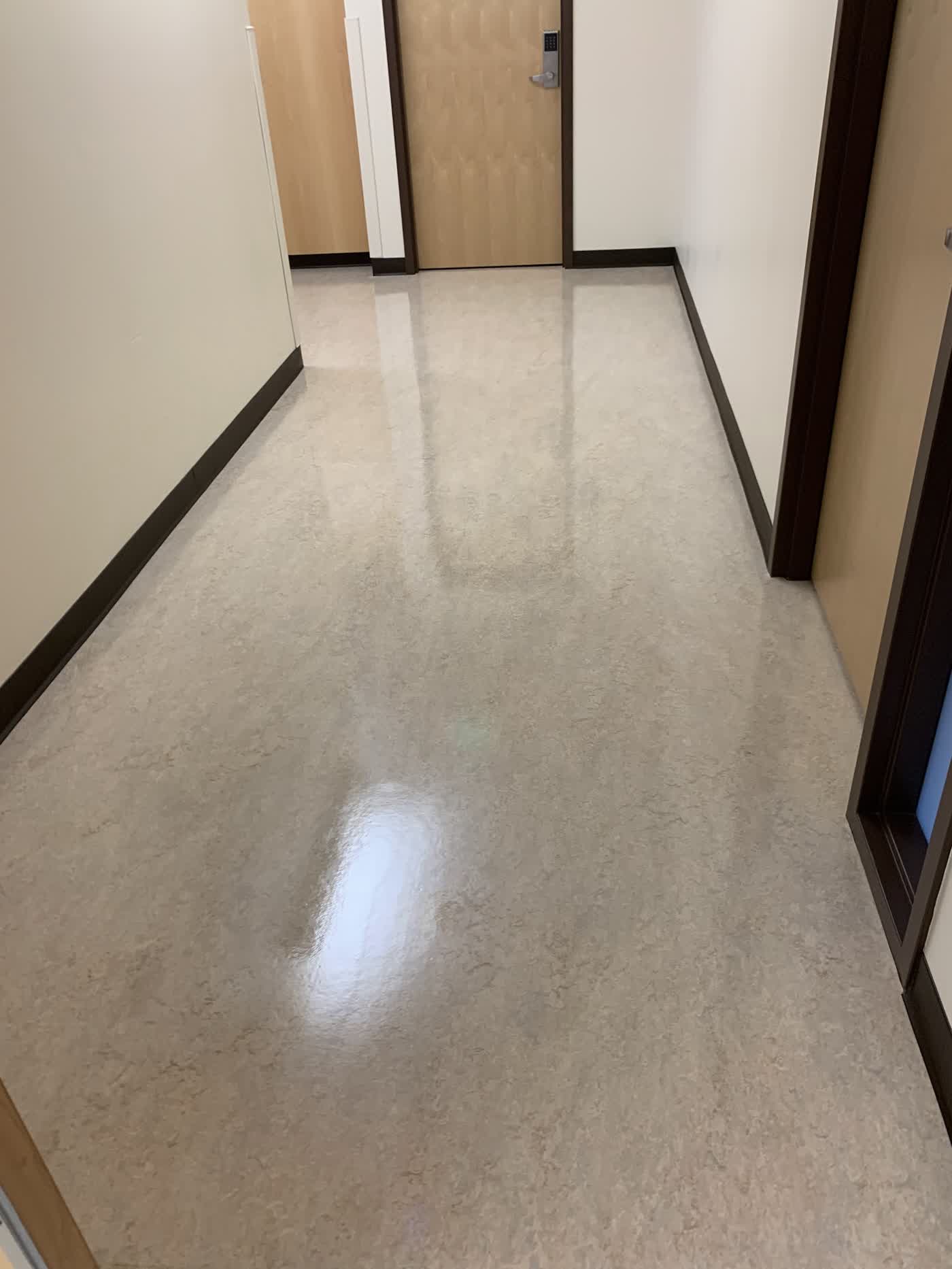 LVT office hallway finish applied