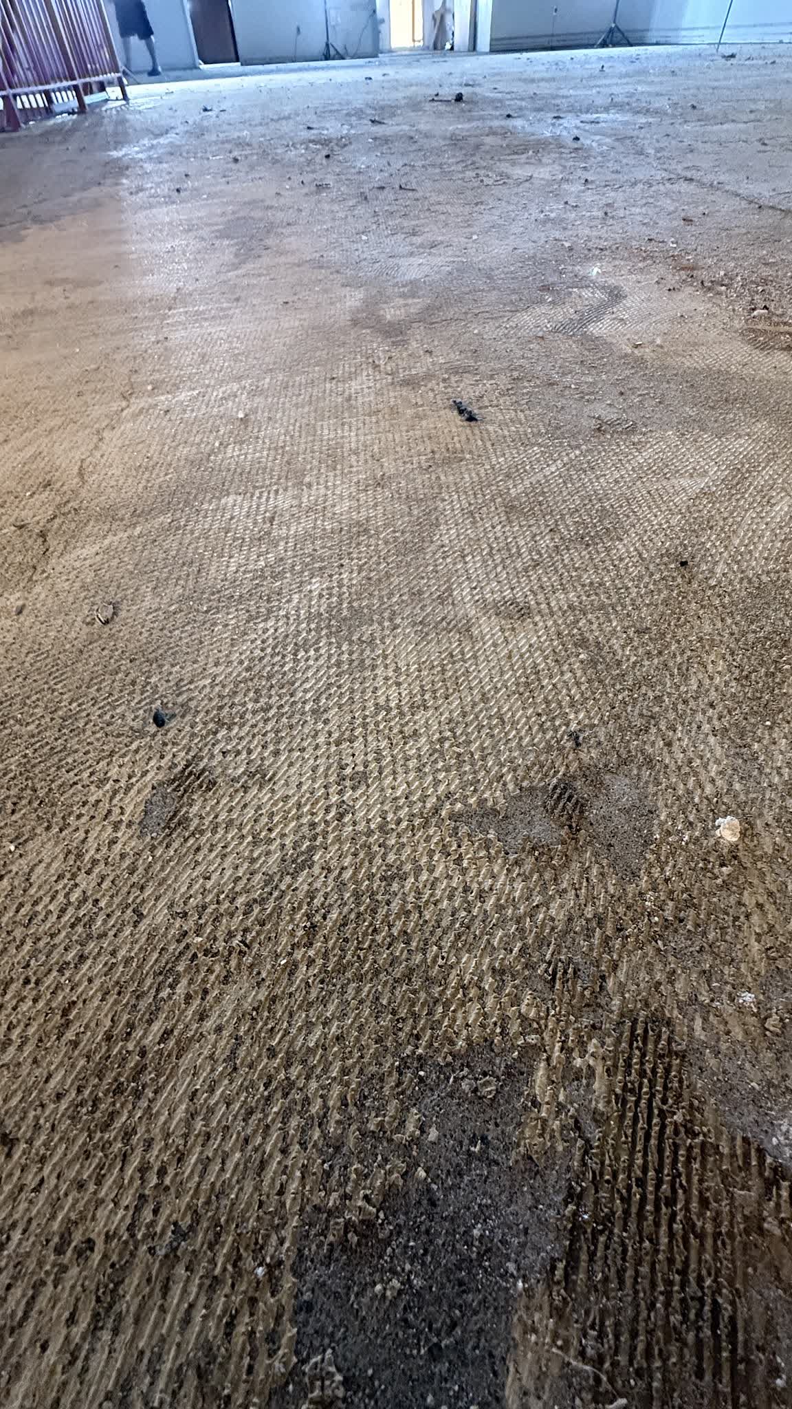 Close view during assessment: carpet glue with cutback adhesive underneath