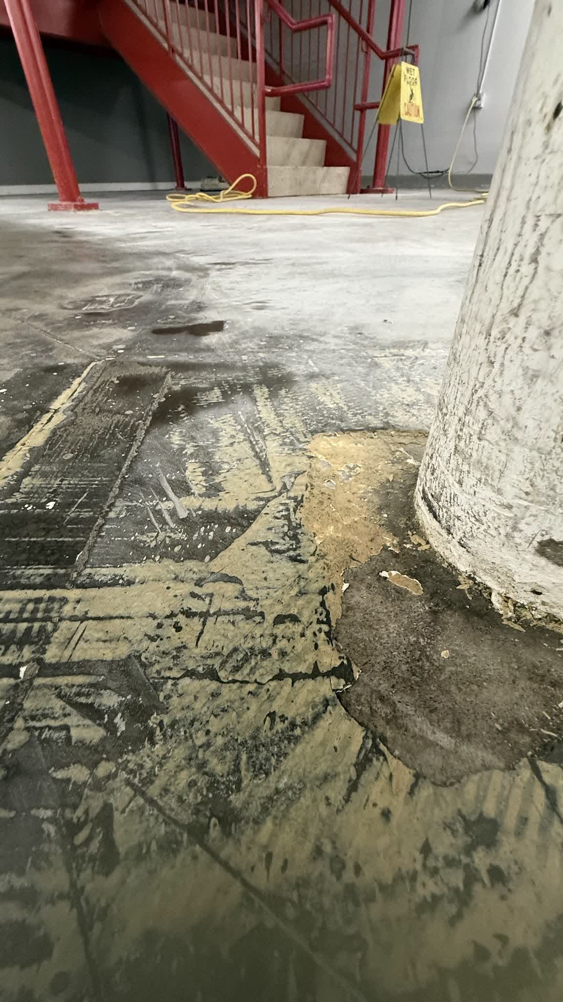 Carpet glue and cutback adhesive being removed around a column