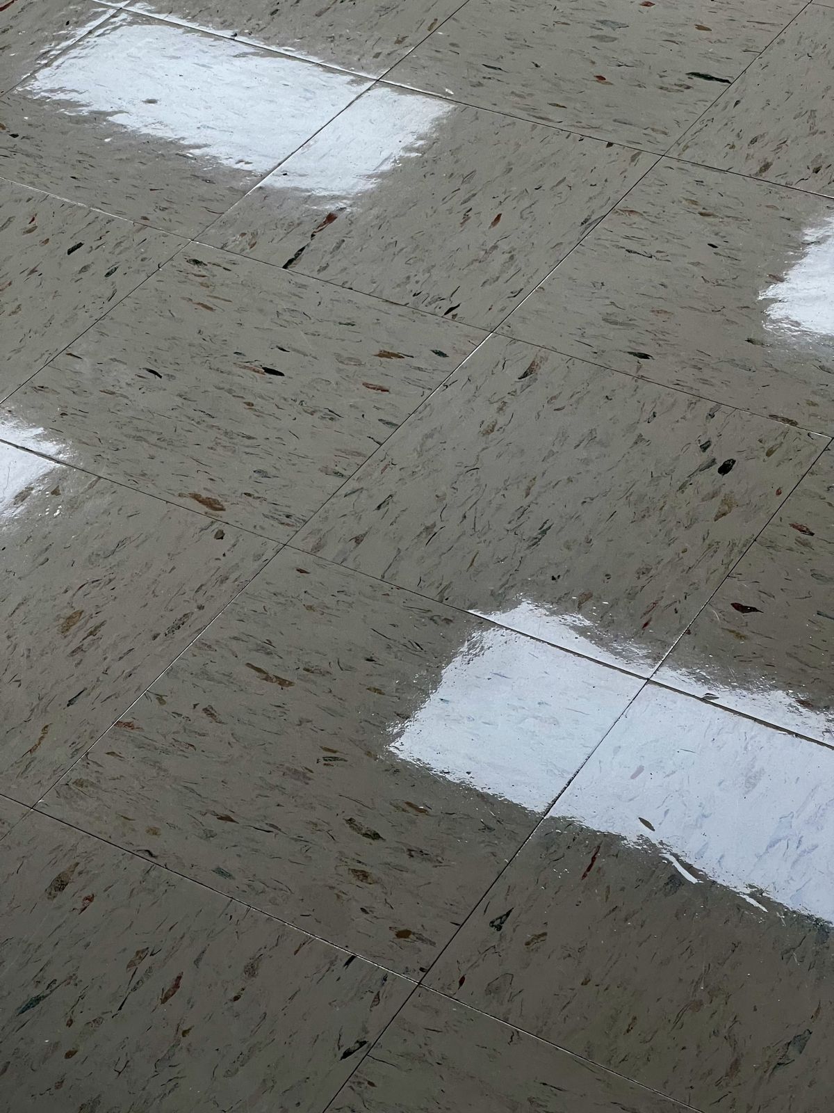 VCT coated with OmniGuard