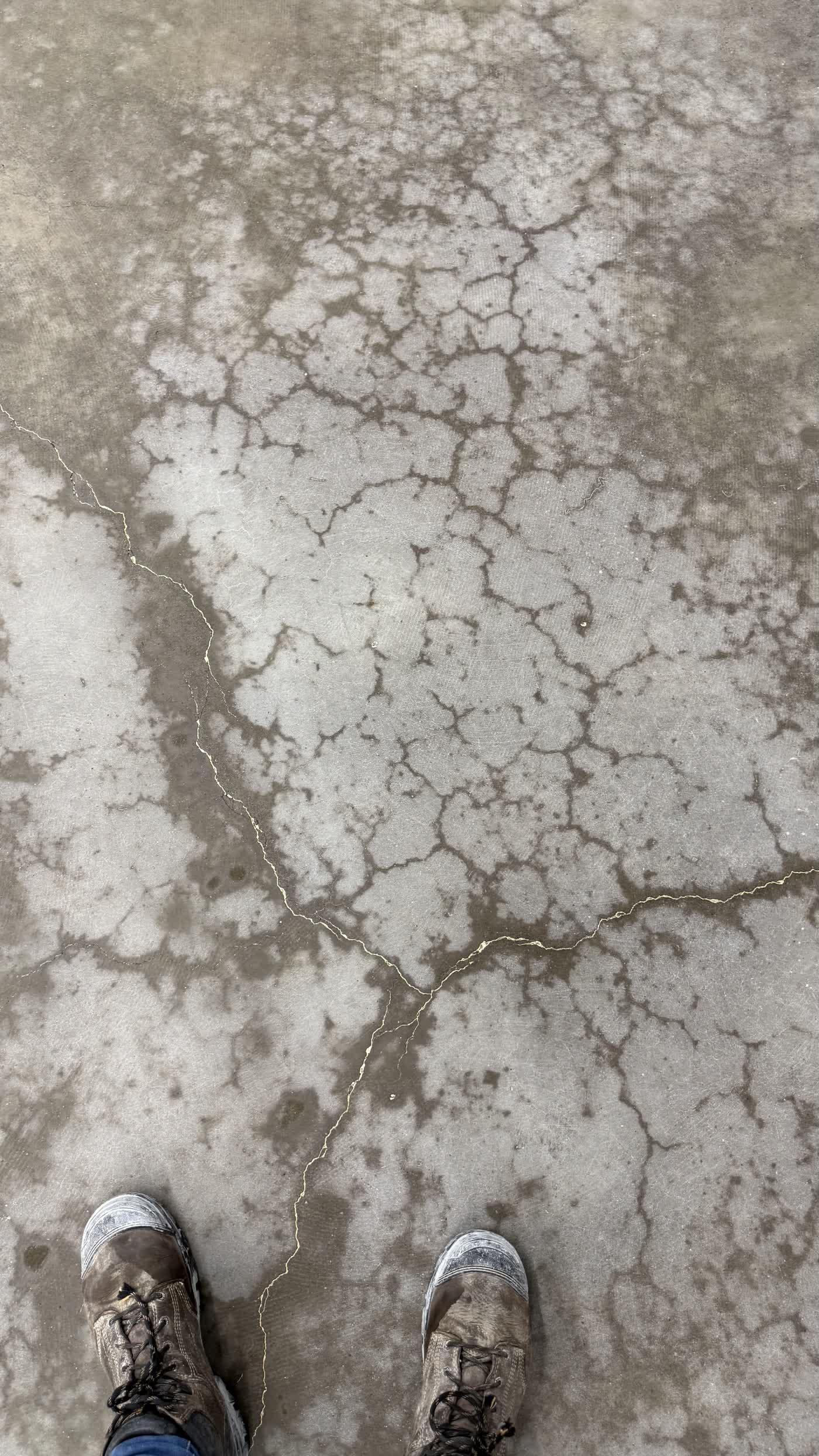 Condition of floor after carpet and cutback adhesive has been removed — still oil contaminated