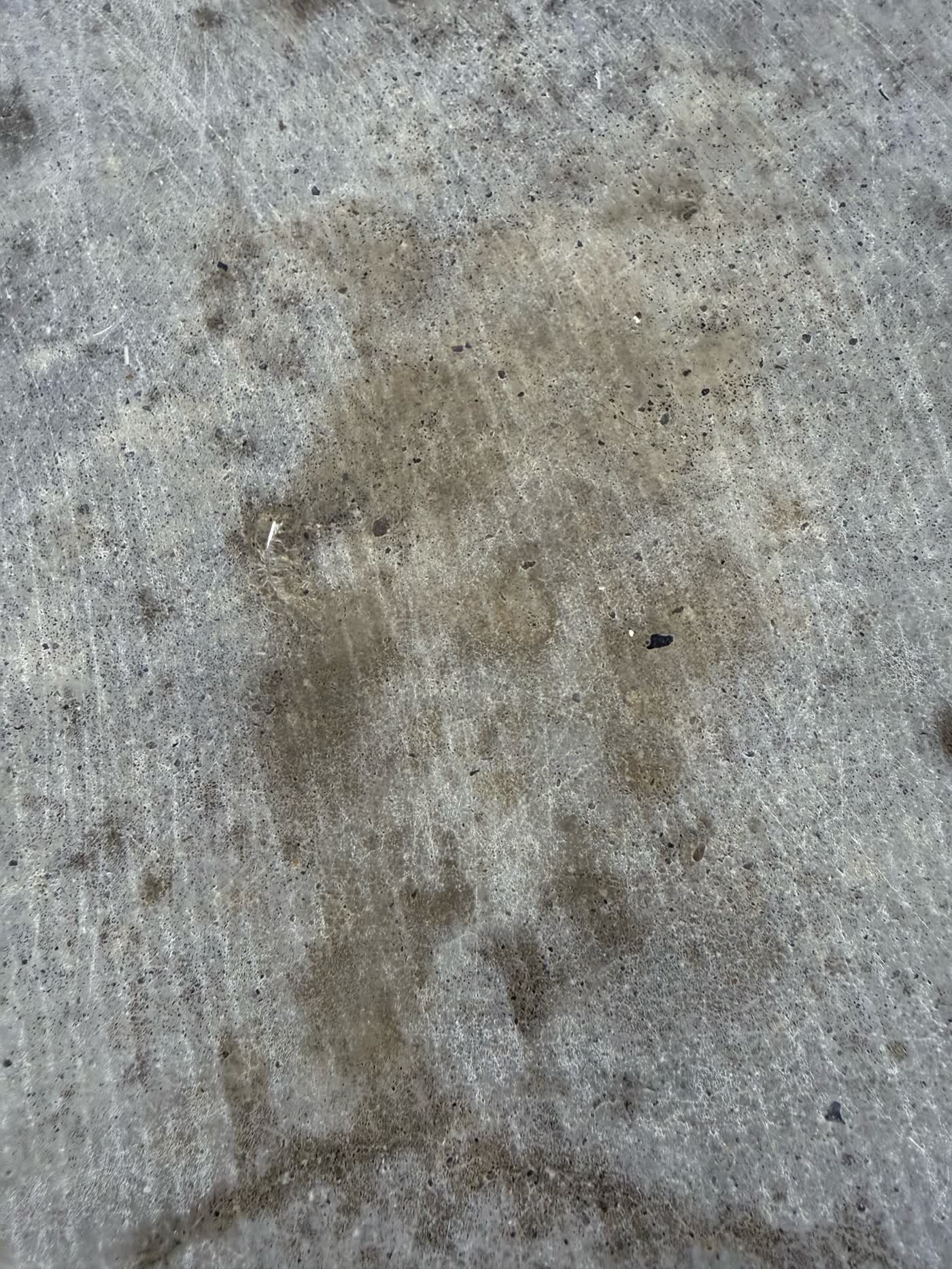 Oil bleeding back up through the floor within a few days of removing the cutback adhesive and carpet glue