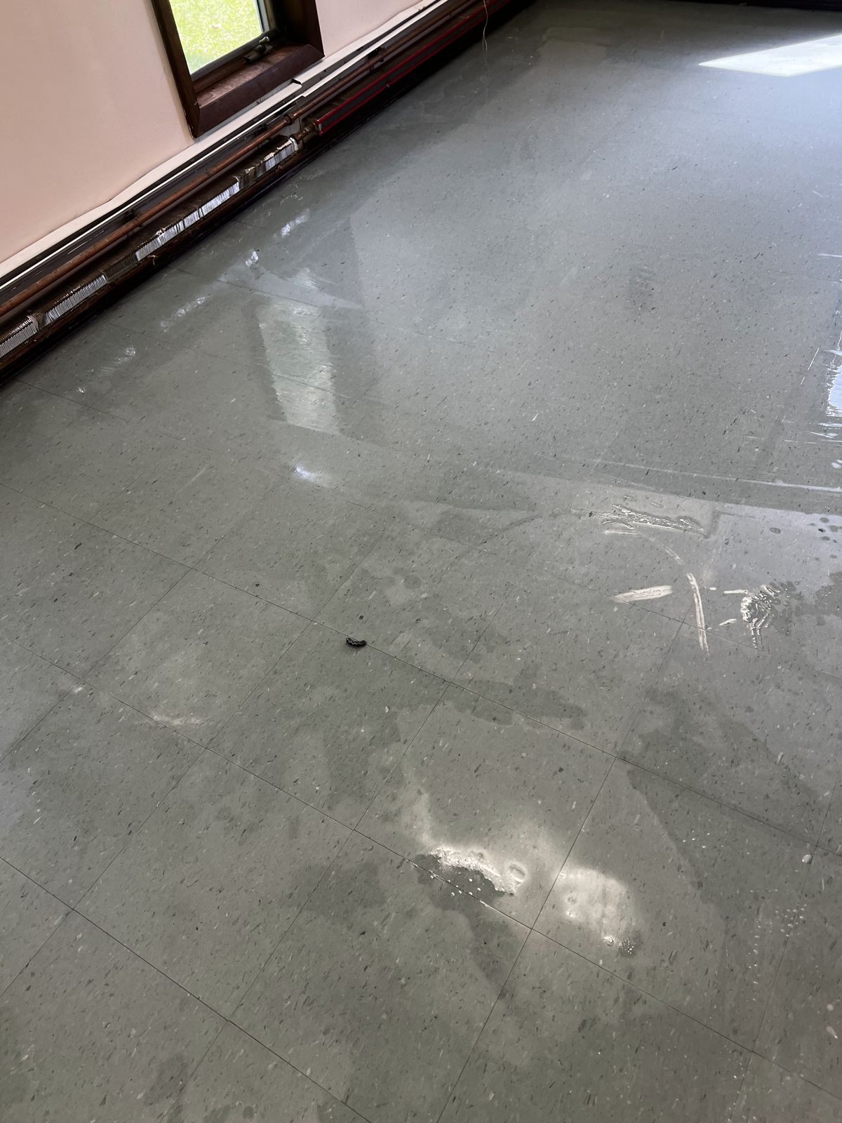 Gray-green VCT room with the floor still wet during the job