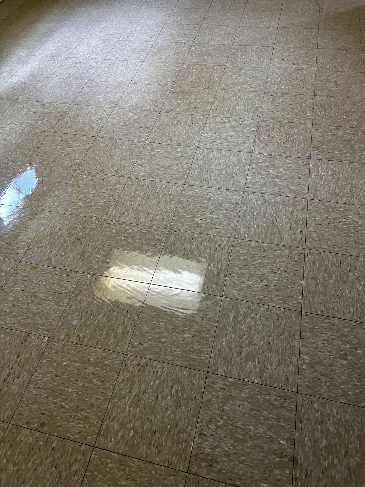 Tan streaked VCT with a high-gloss finish